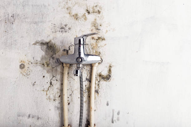 Best Mold Remediation Experts  in Etna, PA