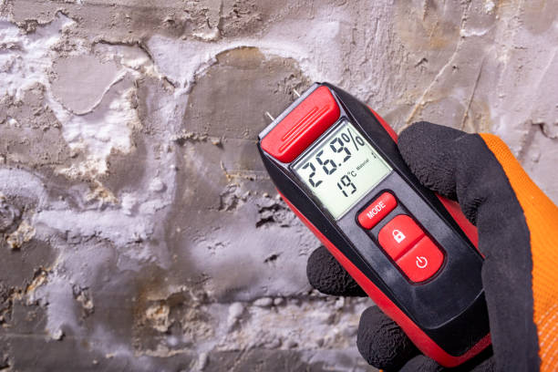 Best Toxic Mold Removal  in Etna, PA