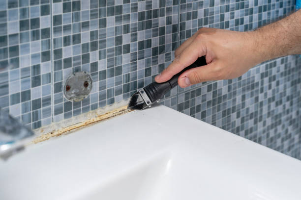Best Mold Remediation  in Etna, PA