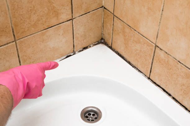 Best Certified Mold Removal  in Etna, PA